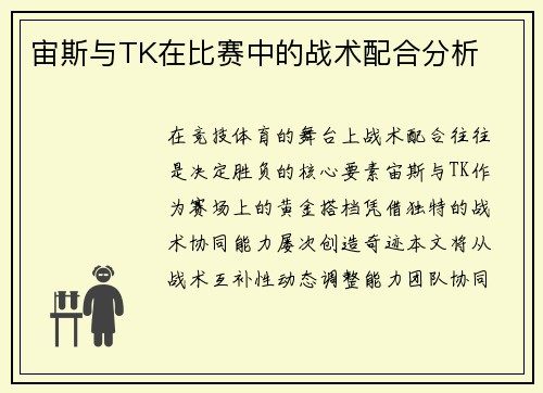 宙斯与TK在比赛中的战术配合分析